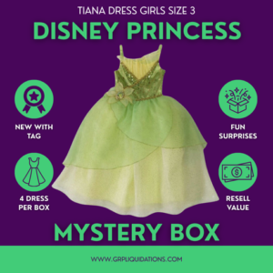 Disney Princess Tiana Girls Dress Mystery Box (Size 3) - 4 Dress Per Box