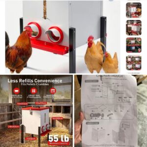 Chicken Trough - 4 Feeding Ports